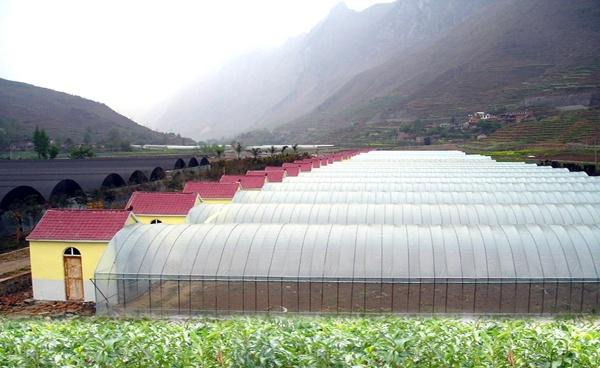 农村没有赚钱的可能？这五种农业项目，最高国家可补贴10亿