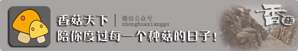 整治“大棚房”别误伤了菇农 央视质问：谁叫你“一刀切”！