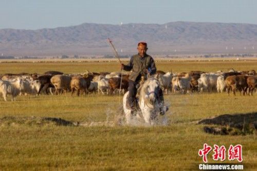 新疆巴里坤湿地秋色风光 美如画