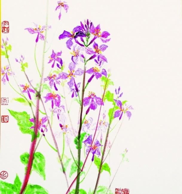  【玉兰和二】北京春花的典故：玉兰入药改了名字，诸葛亮用它解决粮草之急
