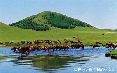 去蔬菜比牛肉贵的蒙古国旅游，100元人民币可以享受什么样的生活