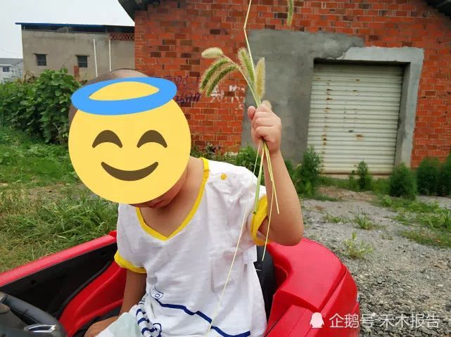 农村一种常见害草，农村娃用来做手链，却少有人知它价值很高