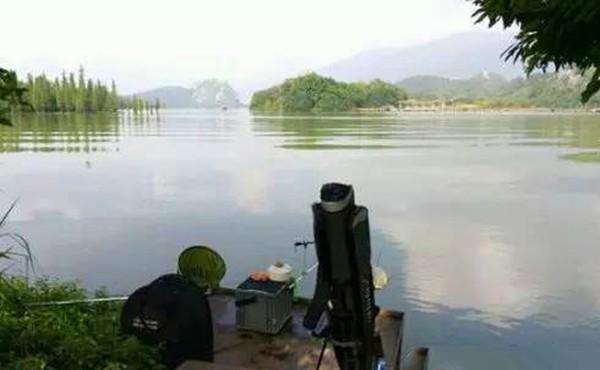  【夏季】进入5月初夏，钓鱼注意这些变化规律，应对得当，一钓一个准