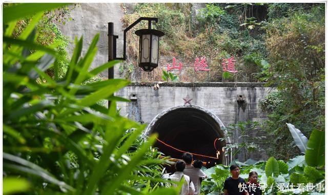 「鸽子」顶澳仔猫街撸猫、白鹭洲喂鸽子,厦门文艺之旅,去过才算没白来!