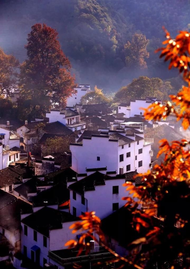 我的后半生，再穷也要去旅行