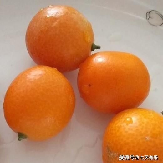  『技巧』金橘的挑选技巧，金橘怎么吃好吃？