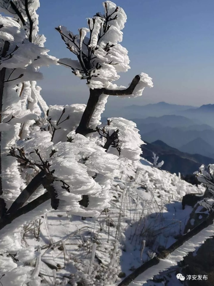 美如童话!淳安雾凇奇观太惊艳