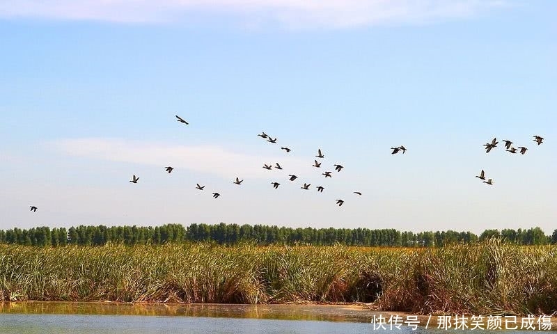 中国北方最神奇的湖，鱼越捞越多，游客不知情，本地人道出真相