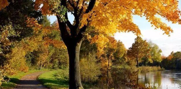 俄罗斯最美的秋天,如同一幅精美的画卷