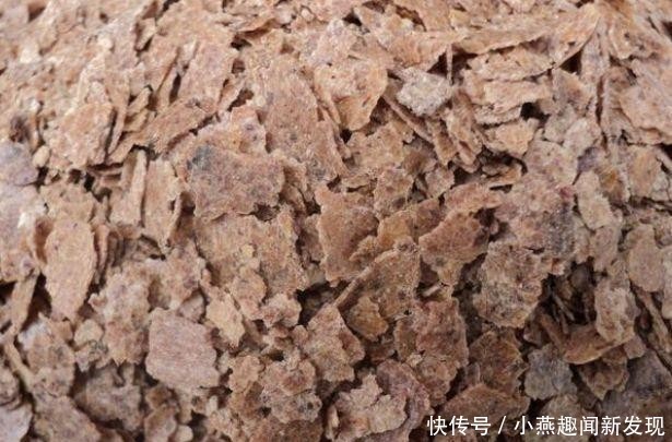  【收钱】快到年底，村里一个行当又火了，不收钱的生意一天能赚8