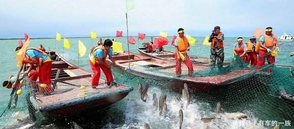  【大淡水湖】与沙漠共存的中国最大淡水湖, 里面一条鱼能卖接近3