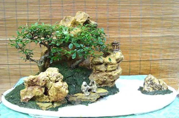 拆开:拆开山水盆景才恍然大悟,原来植物要这样才能固定在山石盆景!
