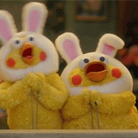 学生党平价彩妆合集|500块搞定你的化妆包!