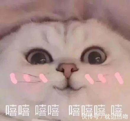  次向女生表白的时刻：数学恋爱 | 2020用心脱单