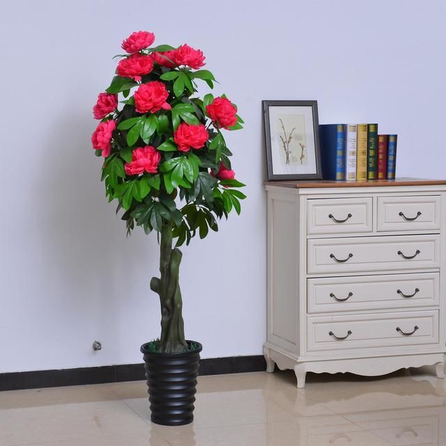 “无声的诗，立体的画”，家养一盆牡丹盆景，花开富贵更显高雅！