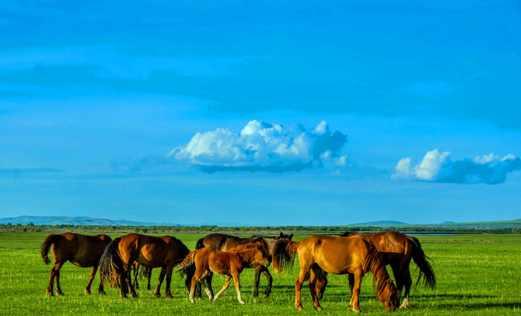 中国最“长”的省区，一共跨越3个时区，自然资源十分丰富