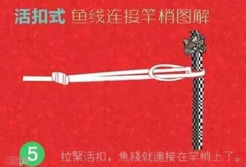  『套在竿梢』钓鱼主线连接竿稍的全过程，附步骤图解