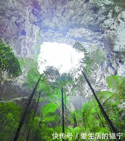 鬼斧神工！广西发现“世界级”大型天坑