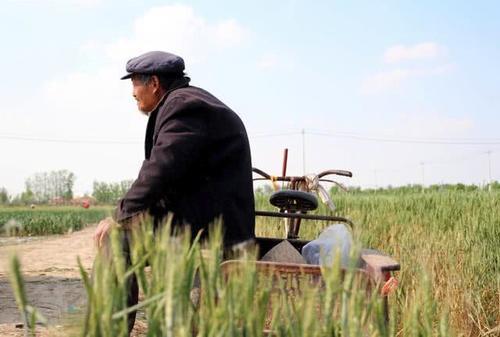  做饭@专家提议：国家应禁止农民烧柴火做饭？假的，没这专家，也