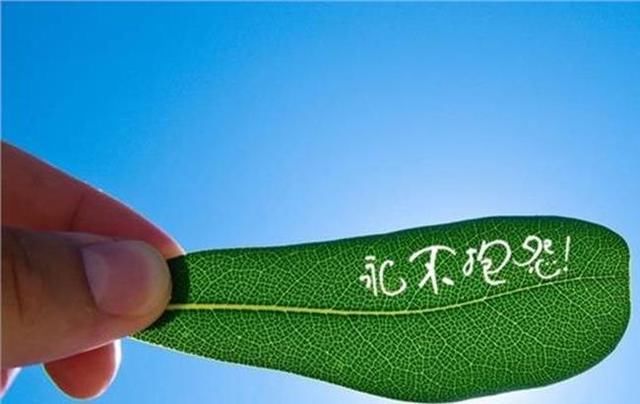 佛说相由心生，一个人要聚集身上的贵气，这三方面要注意