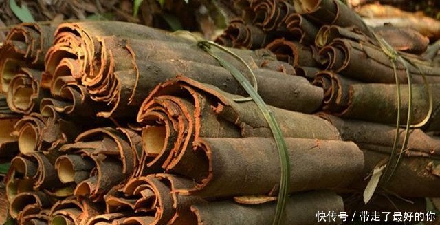 农民种树却只卖皮，每年产值二十多万