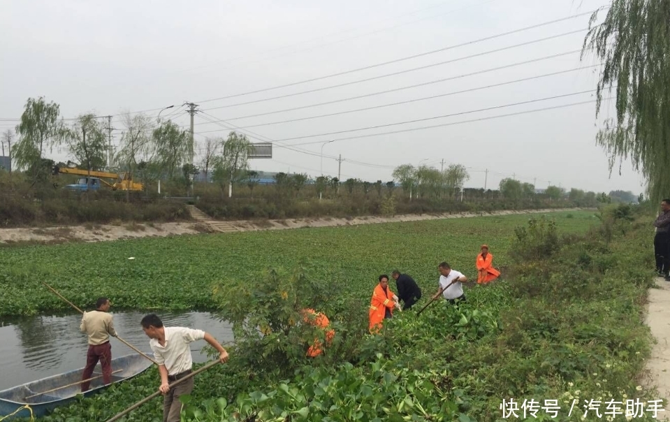 在中国“待”了十几年的水葫芦，如今去哪了？看完佩服国人的智慧
