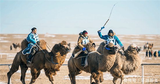 #差距#外蒙古与内蒙古牧民冬季生活的对比, 差距太大