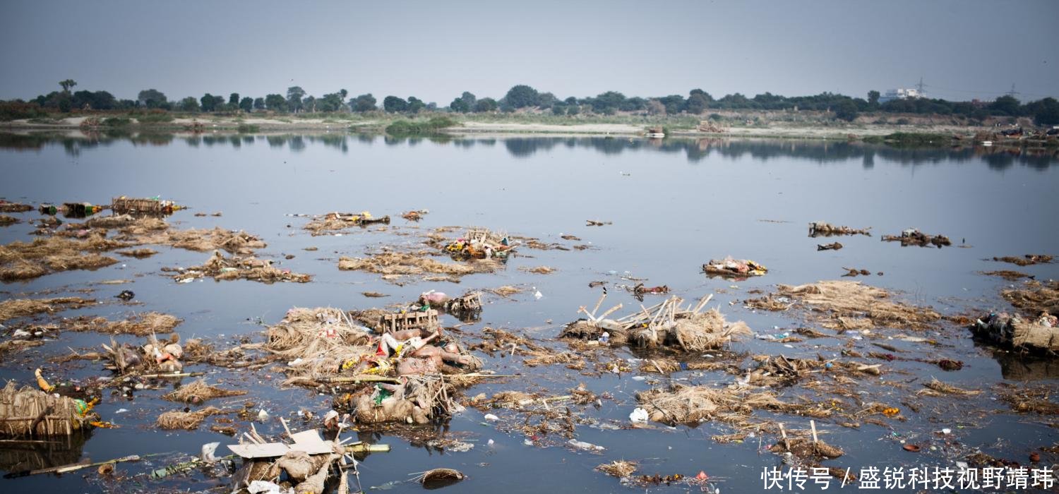 印度真的很脏吗看看游客实拍的印度照片，游客不想再去第二次