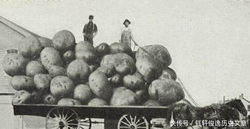  【饥荒】美国才是“浮夸风”的鼻祖，超出你想象的照片，带来的