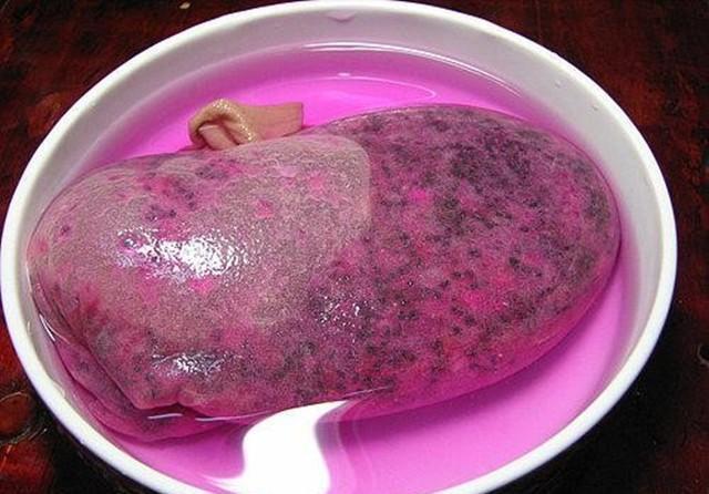 花盆中|好吃的火龙果,一块果肉,1周变别致盆栽,2年结果1大筐