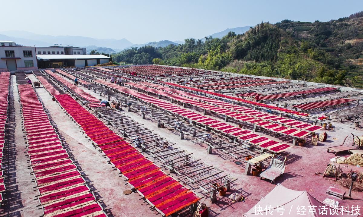  【制香工人】自驾游闽南，探访“中国第一香都”，目及之处，满眼“血色”！