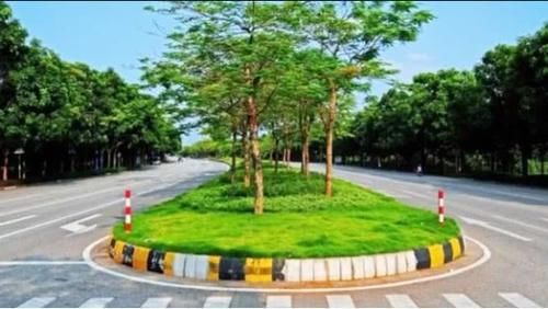  欧洲：为何中国大面积搞“绿化带”，欧洲国家几乎没有？今天终