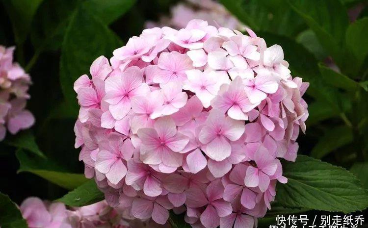 『大越』最“臭美”的3个生肖女，年纪越大越在乎个人形象，喜欢打扮自己