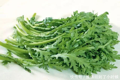 孕妇能吃茼蒿菜吗今天终于有答案了,爱吃茼蒿