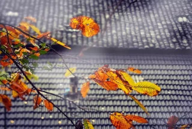 有这样一个世外桃源，藏着皖南最美的古村落！