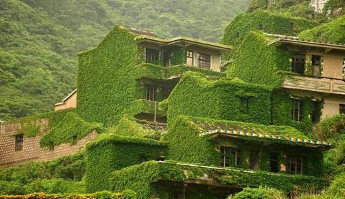 这才是人类消失后的真实世界，和你在电影里看到的完全不一样！