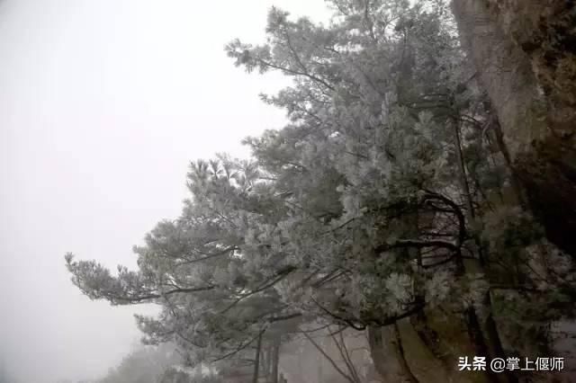 昨天洛阳雪后，一大波美景曝光