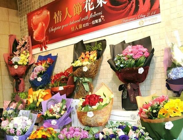  [室内]多年生的“万岁玫瑰”，花型似玫瑰，适合室内种，开花漂亮招人喜