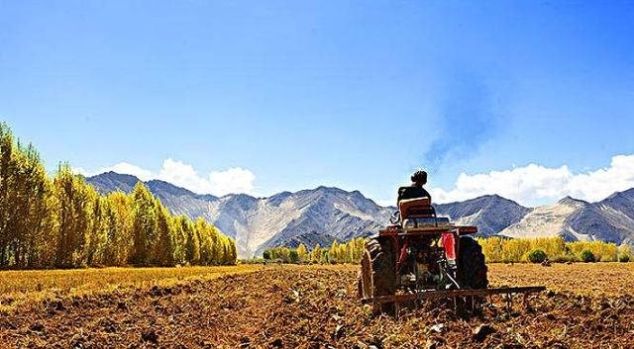 泰安农村户口的注意！这3类人要交钱了！9月1日起施行