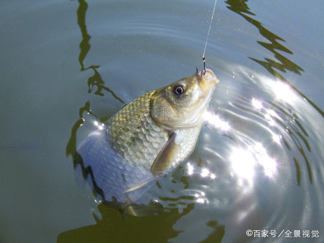  [找到]面对脱钩跑鱼别再迷茫，按照这四个步骤排查，快速找到症结所在