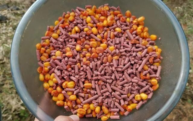 果是锅底型|高手教你钓鱼如何找底?学会了就不怕掉不到大鱼了!