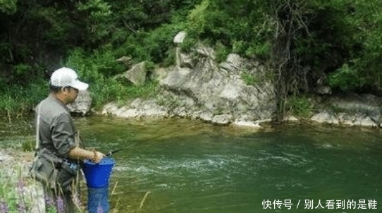  更好|为什么说“退水鱼难钓”？密度大不是更好钓吗？老钓客说出了原因