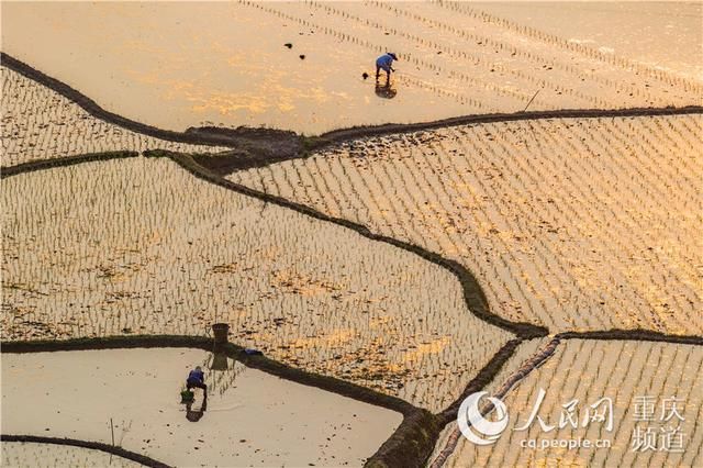  「追赶」重庆南川：追赶太阳的农人