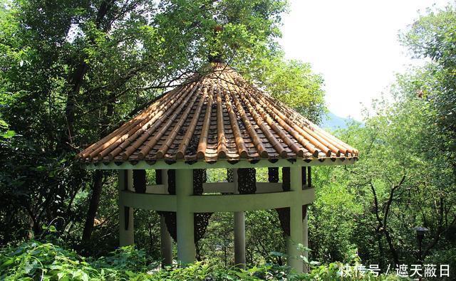  GDP：中国最富的镇之一, GDP超三分之一地级市，10%国人用这里产