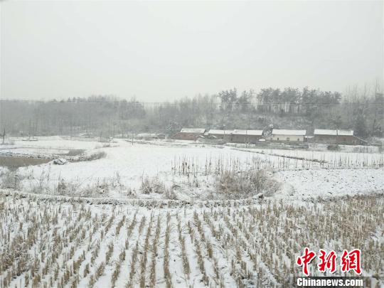 湖北迎新一轮雨雪天气 空气质量得以改善