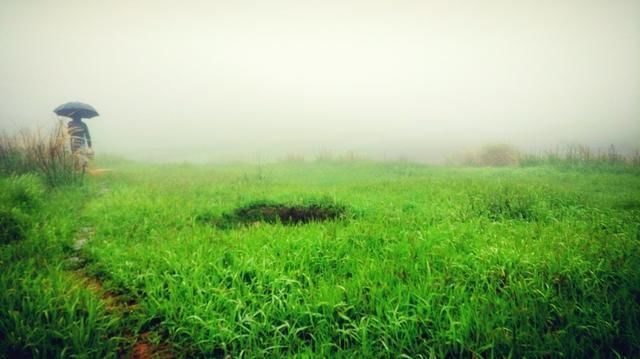  出门■疫情当前，在清明节这一天能不出门尽量不出门，要是急于一时，却误了以后的时间！