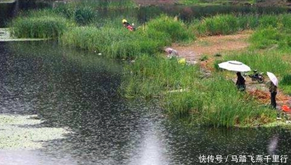  『要注意』夏季手竿钓鲤鱼的四大秘诀，别不信，一钓一个准，渔获翻倍有保证