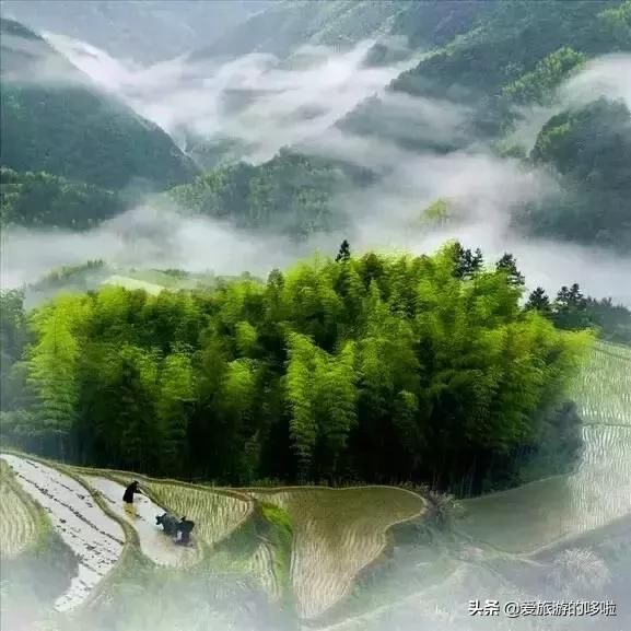 距温州2h的处女小县城，集全了浙江所有令人意外的美景，鲜为人知