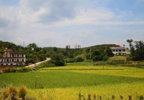  「高铁」四川这个小县将崛起，荣获780亿高铁助力，未来发展节节