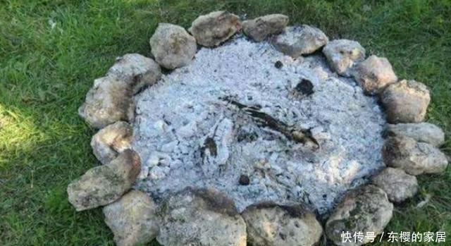 「亲民」如何寻找''亲民高效肥''?靠它们给花草施肥,氮磷钾钙全齐了